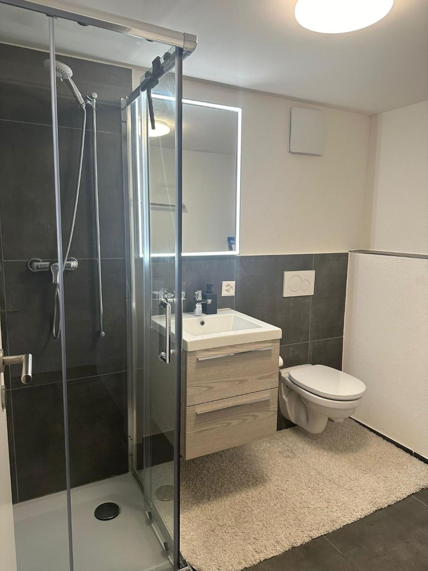Stilvolle 2,5 Zimmer Wohnung St. Gallen Ngoại thất bức ảnh